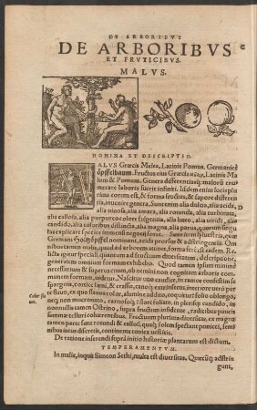 De Arboribus Et Fruticibus.