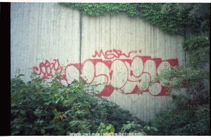COSY MSR. | COSY