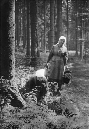 Frauen beim Pilze sammeln