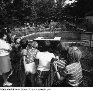 Sommerferien: 58. Oberschule Ferienkinder kneten im Zoo