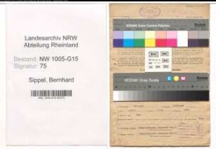 Entnazifizierung Bernhard Sippel , geb. 16.07.1913 (Webmeister)