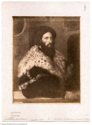 Porträt eines Mannes (Girolamo Fracastoro?)