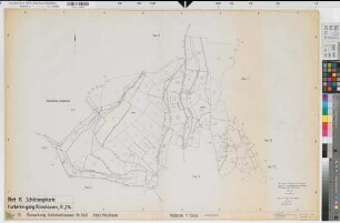 Schönholthausen (Finnentrop), Flurbereinigung Rönkhausen, Bl. 15 Schätzungskarte Schönholthausen Flur 13