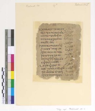 Psali on the Monday Theotokia