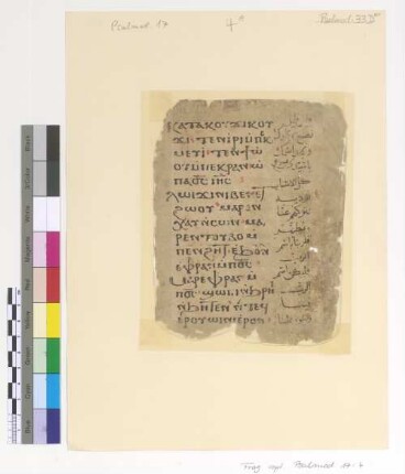 Psali on the Monday Theotokia