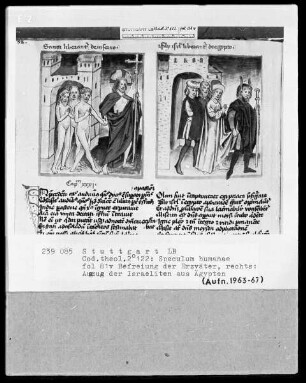 Zwei Schriften — Speculum humanae salvationis — Textseite mit zwei Miniaturen, Folio 81verso