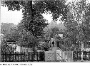 Dresden-Johannstadt. Kleingartensparte "Elbfrieden II". Blick über das Gartento auf den Hauptweg