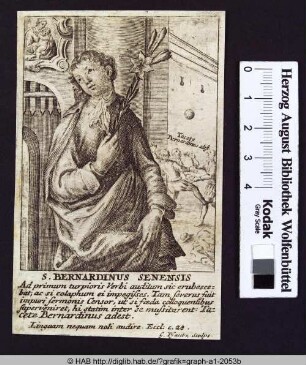 S. Bernardinus senensis.