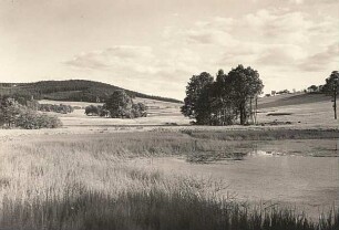 Lausitzer Bergland. Hennersdorfer Stein bei Kamenz. Blick vom Rodelandsteich