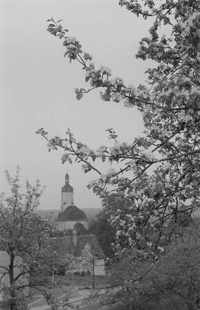 Blick auf ein thüringisches Dorf mit Kirche, im Vordergrund ein blühender Baum
