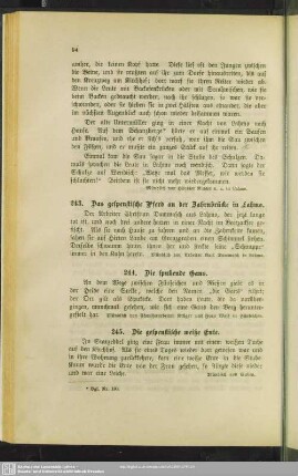 245. Die gespenstische weiße Ente