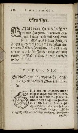 Caput XIX. Etliche Regulen, wornach eine eiferige Seele in diesem Wege sich richten kan.
