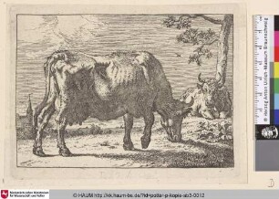 [Grasende Kuh, im Hintergrund eine liegende Kuh an einem Baum; The Grazing Cow]