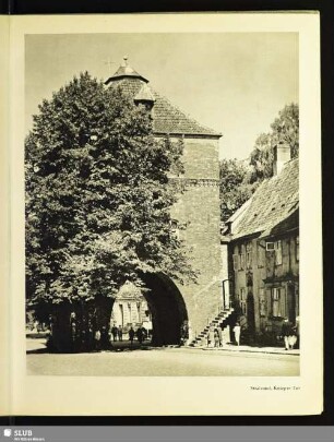 Stralsund, Knieper Tor