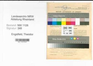 Entnazifizierung Theodor Engstfeld , geb. 26.06.1902 (Feuerwehrmann)