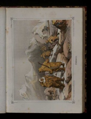 Eskimos.
