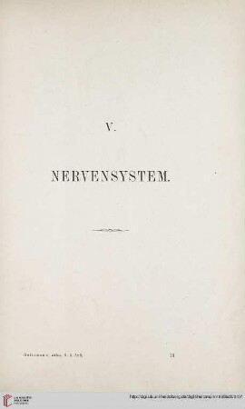 V: Nervensystem
