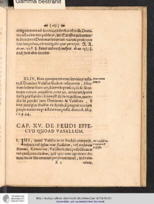 Cap. XV. De Feudi Effectu Quoad Vasallum.