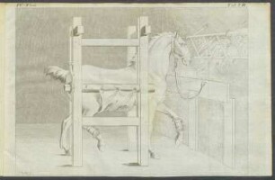 IV. Theil. Tab. VII.
