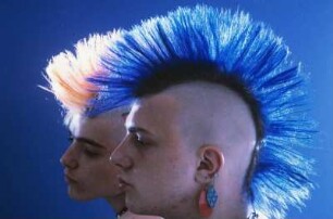 Zwei Punks mit Irokesenschnitt