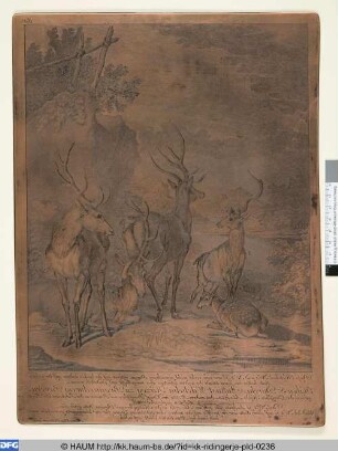 Diese Hirschen No. 1 und No. 2 - sind 1759. und 1750. gepürschet