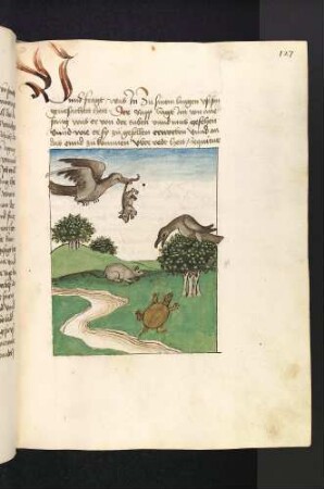 Der Rabe, die Maus und die Schildkröte; der Rabe trägt die Maus durch die Luft; (Kapitel IV: Von der Taube und von treuen Gefährten).
