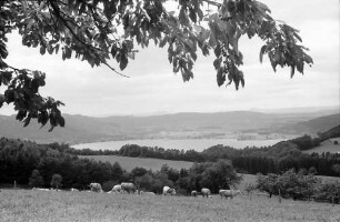Überlingen, Haldenhof: Blick am Haldenhof auf Landschaft und See