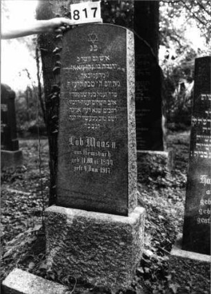Grabstein 817 (Index: 99802355) Material: Granit, poliert Zustand: sehr gut Maße HxBxT: 198x41x16 cm Beschreibung: Sockel, Stele mit Flachbogenabschluß Symbolik: Davidstern Besonderheit: Endreim: Grabstein 817