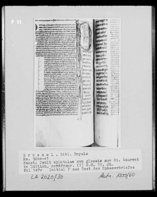 Ms 9200-01, Sancti Pauli epistolae cum glossis, fol. 147v: Initiale P zum Epheserbrief