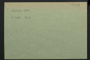 Gerlach, NN.