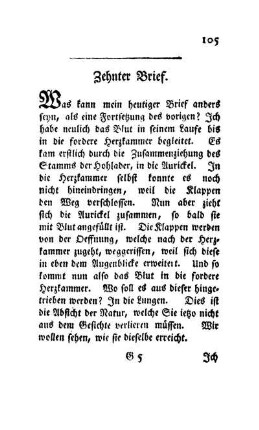 Zehnter Brief. [Fortsetzung des vorigen]