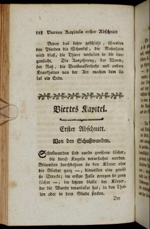 Erster Abschnitt. Von den Schußwunden.