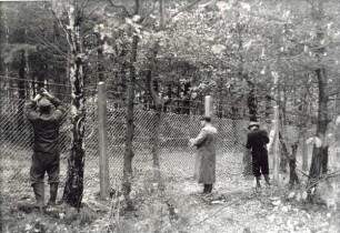 Waldfriedhof Kupferberg. Bau der Zäune und Tore, 13 Bilder