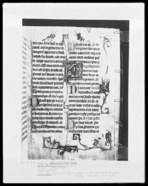 Missale aus Prüm — Initiale D(ominus), darin Hirtenverkündigung, Folio 30recto