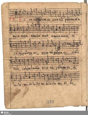 33. Anonymus: Ecce tu pulchra es