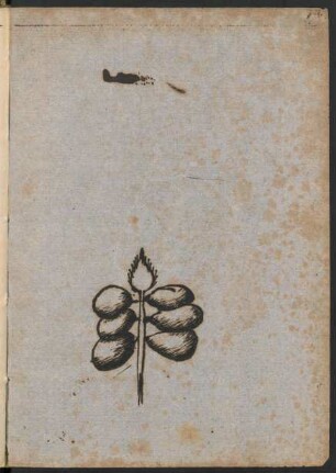 Branch with leaves or fruit - sketch (October 4th, 1773)