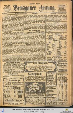 05.11.1901 (Zweites Blatt)