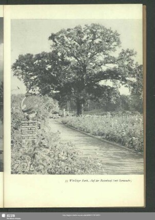 Wörlitzer Park, Auf der Roseninsel