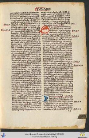 Argumentum in librum Job
