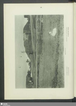 Bergmanns Kuh