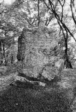 Gedenkstein; Friedrichsdorf, Burg