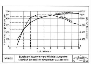Durchschnittsgewinn und Milchleistung einer Milchkuh je nach Nutzungsdauer (nach ZEDDIES)