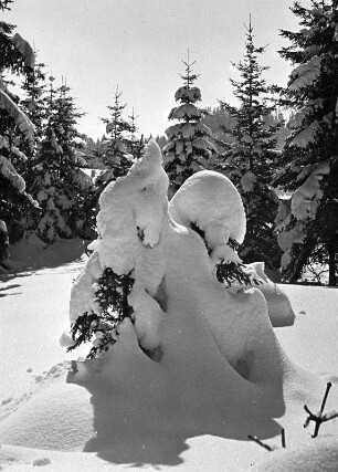 Winterlandschaft