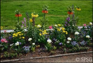 Potsdam, Park Sanssouci, westlicher Lustgarten, Blumenbepflanzung.