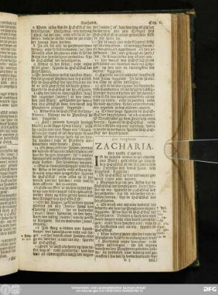 De Propheet Zacharia.