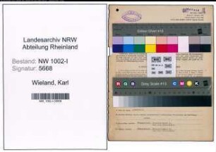 Entnazifizierung Karl Wieland, geb. 06.05.1909 (Chemiker)