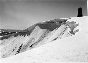"Feldberg, Seebuckwächte mit Alpen"