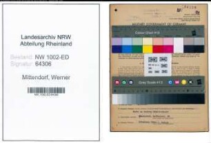 Entnazifizierung Werner Mittendorf, geb. 16.05.1911 (Direktor)