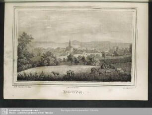Dohna