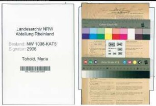 Entnazifizierung Maria Tohold , geb. 17.01.1906 (Lehrerin)
